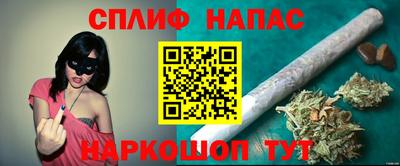 мдпв Партизанск