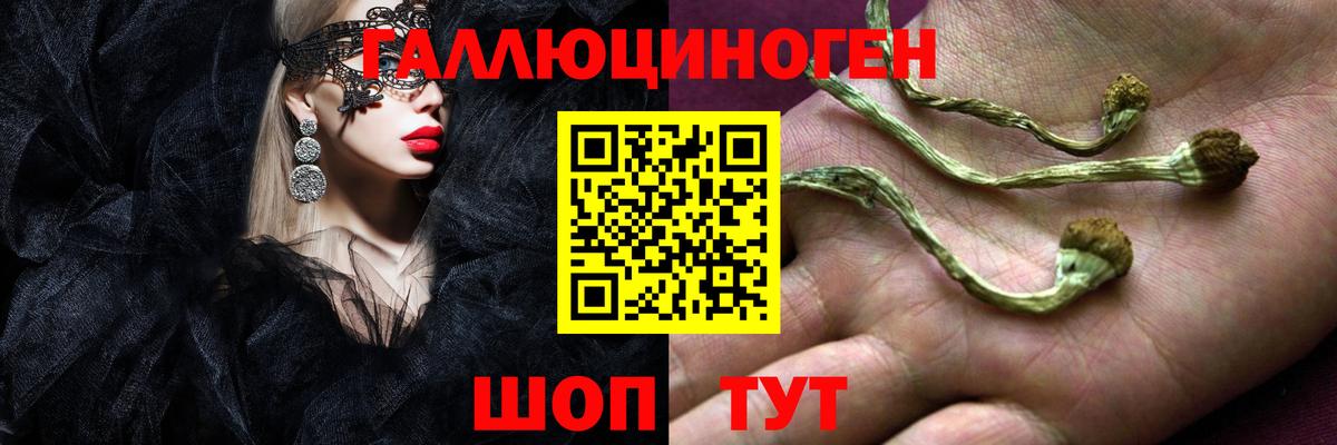 Псилоцибиновые грибы GOLDEN TEACHER Тосно